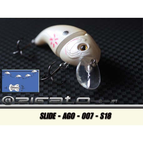 SLIDE-AGO-007 S18