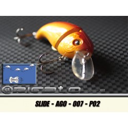 SLIDE-AGO-007 P02