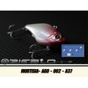 MORTISIA-AGO-002 A37