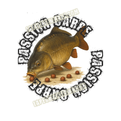 T-shirt Carpe Passion Carpe - Collection Exclusive Carpiste | La Pêche en Ligne