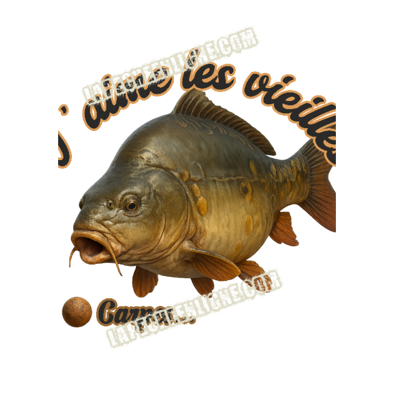 J'aime les vieilles Carpes