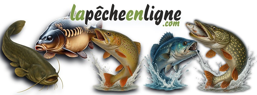 Les poissons d'eau douce
