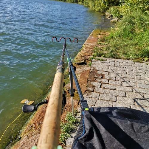 Les saisons de pêche en fleuve