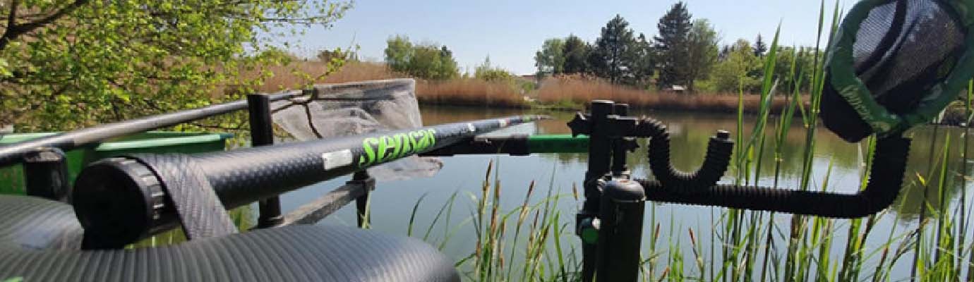 Les saisons de pêche en Carpodrome